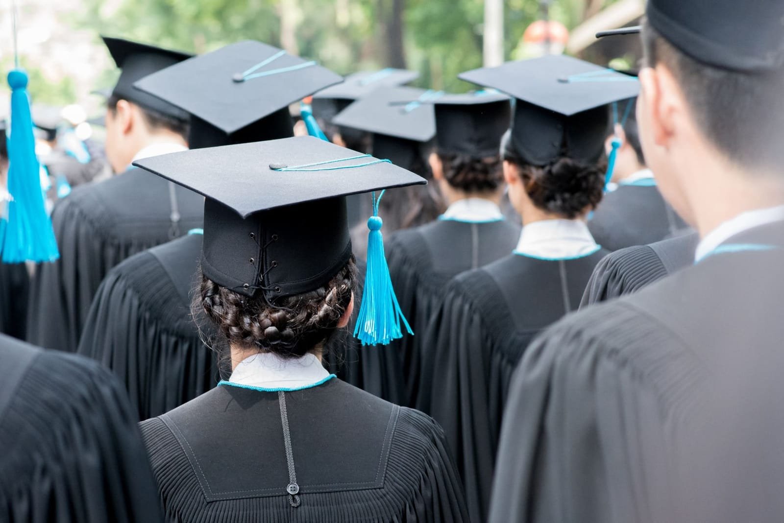 Rear view of a university student in gown